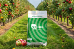 Microlife Calibre