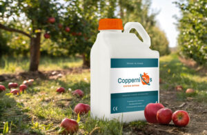 Microlife - CoperniCus